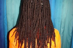 Eighty box braids Prague